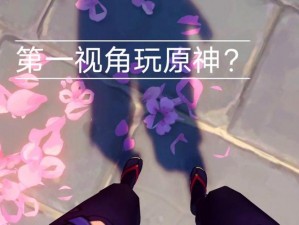 VR 怎么玩原神？体验身临其境的原神世界