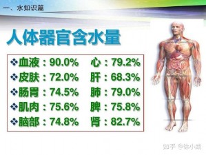 JAPONENSIS水多多-JAPONENSIS 水多多：探究日化的丰富与多样