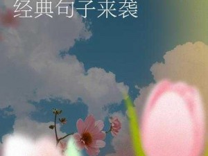 时间的力量：一切都会过去，情感之歌唤醒内心的宁静与淡然