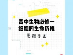 揭秘重生细胞中的生命活力：揭秘细胞回血机制的科学解析