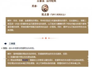 斗诡新手职业指南：探寻最佳入门选择与成长路径推荐