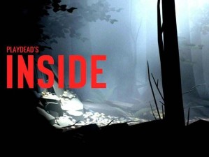 深入解析：Inside游戏第二幕囚禁全攻略图文详解