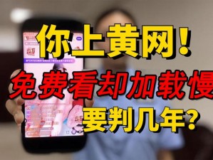 在线播放成人网站、在线播放成人网站是否合法？会带来哪些风险？