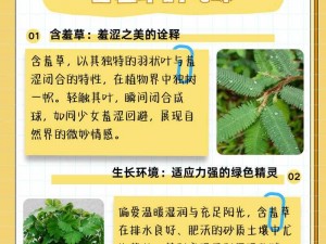 含羞草的特征和特点【含羞草有什么特征和特点？】