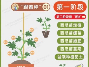 迷你世界西瓜种植指南：西瓜的正确种植方法