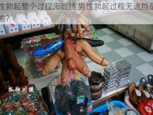 男性勃起整个过程无遮挡 男性勃起过程无遮挡是怎样的？