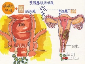 正常阴脣的样子照片视频：科普生殖健康的珍贵资料