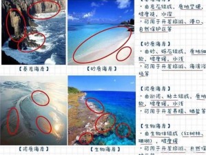 海岸线六大势力背景深度解析：揭秘实力格局与影响力量