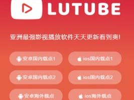 lubuntu轻量版在线检测观看软件_lubuntu 轻量版在线检测观看软件有哪些？