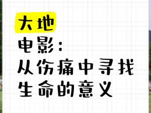 大地电影资源第二页中文高清版-如何在大地电影资源第二页中找到中文高清版？