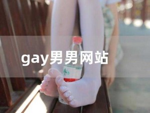 帅小伙 GayXXOO 网站是一款为男同性恋者提供交友和社交服务的网站