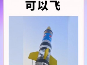 《17岁农村少年勇攀科技高峰：自制火箭翱翔蓝天成功》