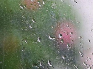 下面湿漉漉的像是刚下过雨;下面湿漉漉的，像是刚下过雨，地面还在冒着热气