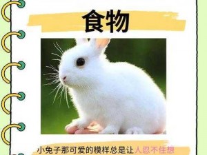 为什么-如何-怎样以什么姿势吃到小兔子？