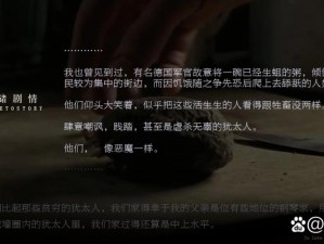 橙光影视改编游戏重磅上线：揭秘4339背后的故事与魅力之旅