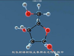 侏罗纪时代DNA核苷酸制作揭秘：我的世界生存者指南