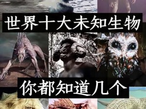 黑水源石虫：揭秘神秘生物背后的生态价值及其保护重要性