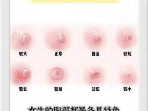 の乳頭を凸起しています在线观看【の乳頭を凸起しています在线观看】