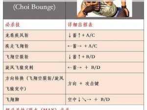 太极熊猫2英雄汉克技能效果深度解析与获得方法指南：全方位掌握汉克英雄技巧秘籍