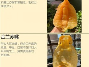 人与动物胶配方视频、如何制作含有人与动物胶配方的视频？