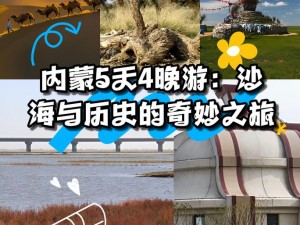 孑游列国：游戏特色内容深度解析——游历各国文化，体验真实历史之旅