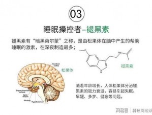 失眠男女：专业解决各种失眠问题，还你一夜好眠