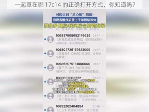 一起草在哪 17c14 的正确打开方式，你知道吗？