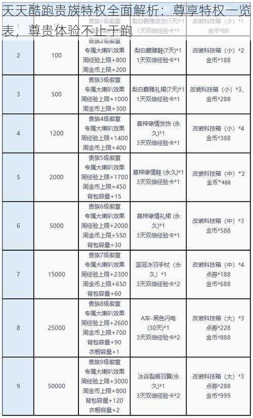 天天酷跑贵族特权全面解析：尊享特权一览表，尊贵体验不止于跑