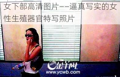 女下部高清图片——逼真写实的女性生殖器官特写照片