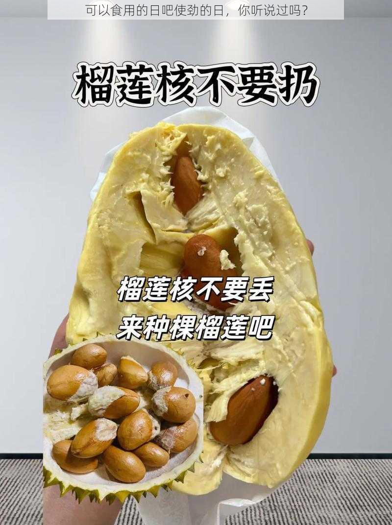 可以食用的日吧使劲的日，你听说过吗？