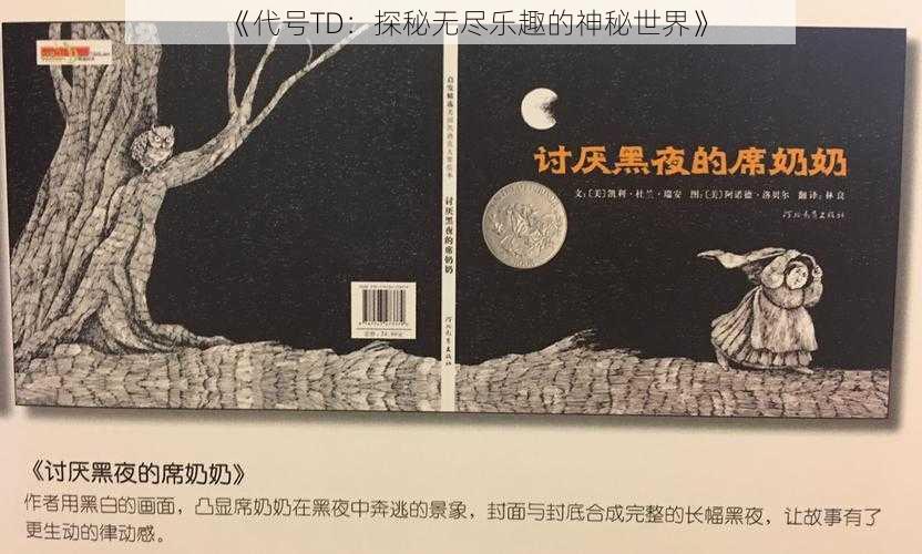 《代号TD：探秘无尽乐趣的神秘世界》