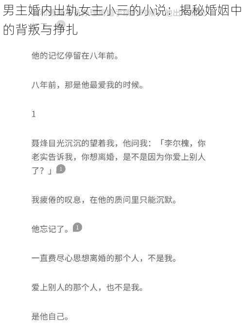 男主婚内出轨女主小三的小说：揭秘婚姻中的背叛与挣扎