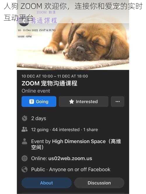 人狗 ZOOM 欢迎你，连接你和爱宠的实时互动平台