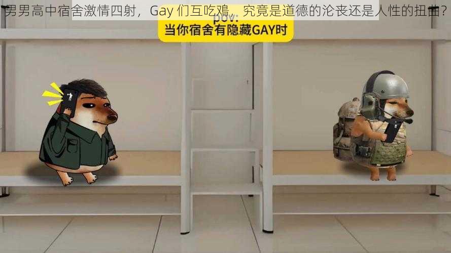 男男高中宿舍激情四射，Gay 们互吃鳮，究竟是道德的沦丧还是人性的扭曲？