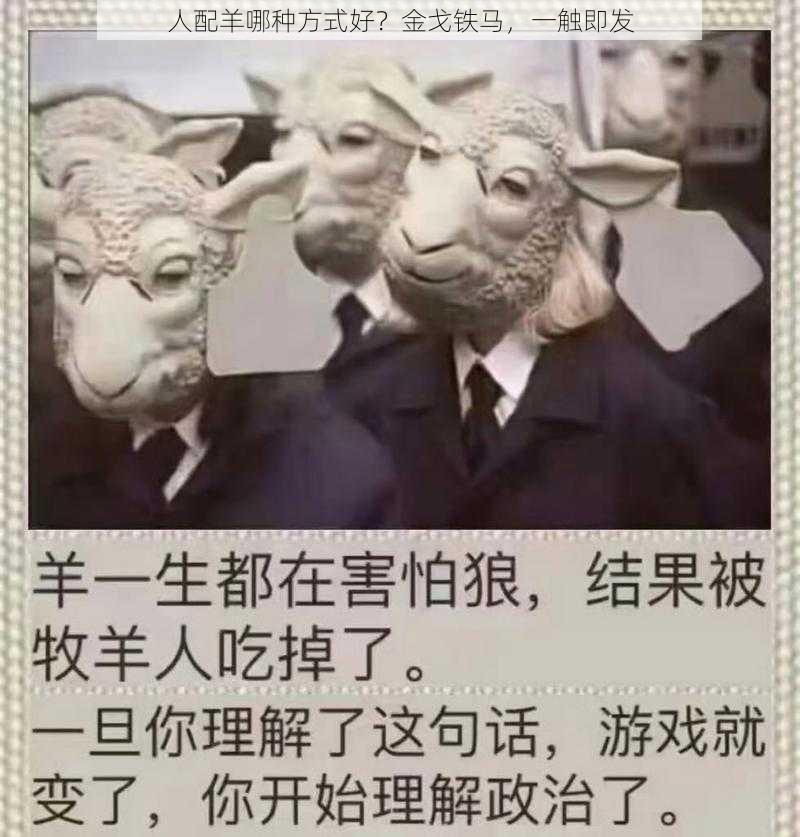 人配羊哪种方式好？金戈铁马，一触即发