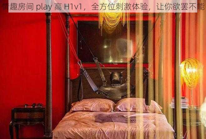 情趣房间 play 高 H1v1，全方位刺激体验，让你欲罢不能