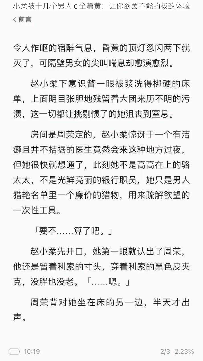 小柔被十几个男人 c 全篇黄：让你欲罢不能的极致体验