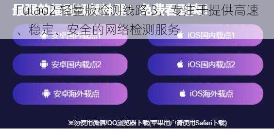 Fulao2 轻量版检测线路 3，专注于提供高速、稳定、安全的网络检测服务