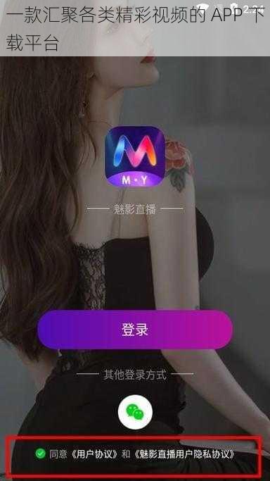 一款汇聚各类精彩视频的 APP 下载平台