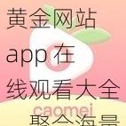 黄金网站 app 在线观看大全，聚合海量视频资源，畅享高清流畅体验