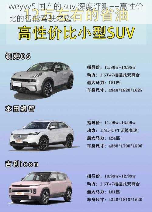 weyvv5 国产的 suv 深度评测——高性价比的智能驾驶之选