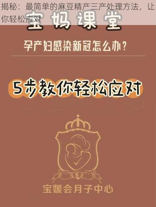 揭秘：最简单的麻豆精产三产处理方法，让你轻松应对