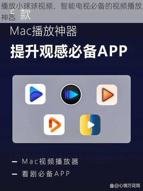 播放小球球视频，智能电视必备的视频播放神器