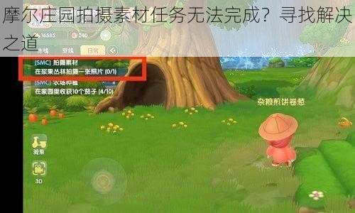 摩尔庄园拍摄素材任务无法完成？寻找解决之道