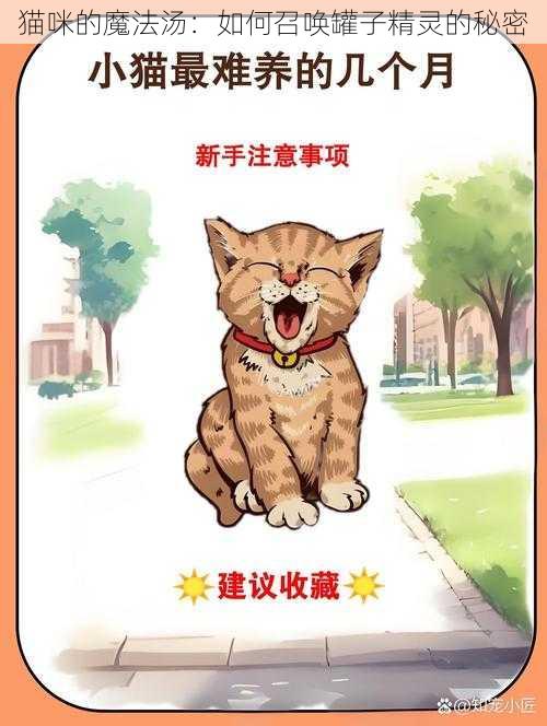 猫咪的魔法汤：如何召唤罐子精灵的秘密