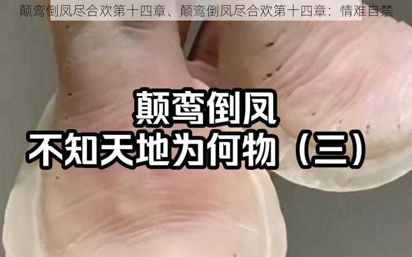 颠鸾倒凤尽合欢第十四章、颠鸾倒凤尽合欢第十四章：情难自禁