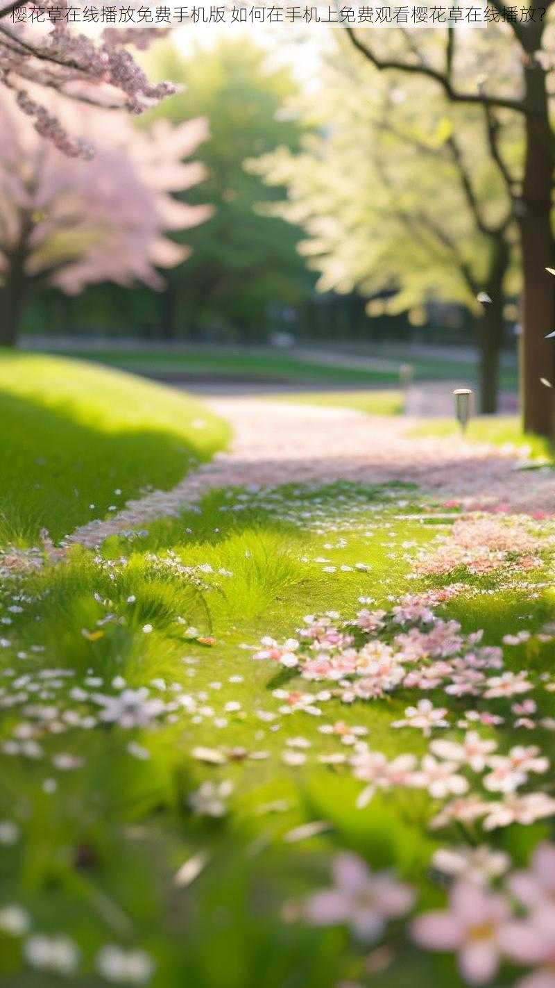 樱花草在线播放免费手机版 如何在手机上免费观看樱花草在线播放？