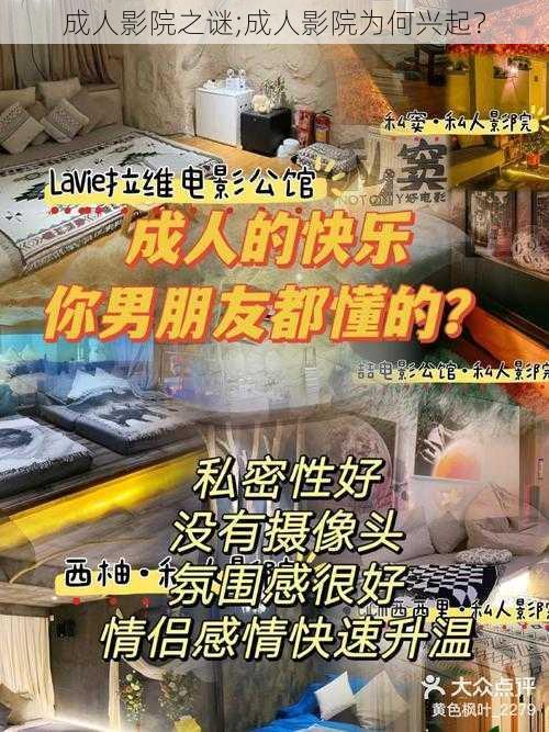 成人影院之谜;成人影院为何兴起？