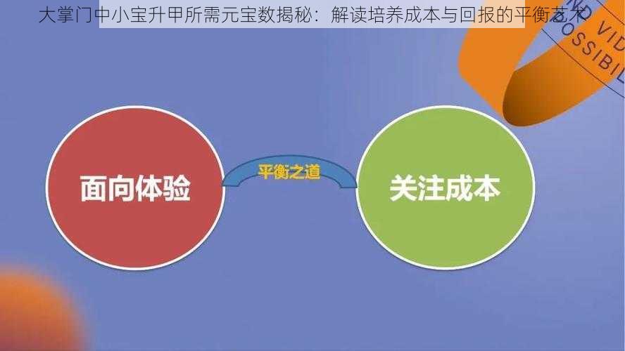 大掌门中小宝升甲所需元宝数揭秘：解读培养成本与回报的平衡艺术