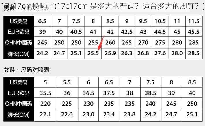 17c17cm换哪了(17c17cm 是多大的鞋码？适合多大的脚穿？)